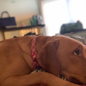 Meet your Posher, Uju